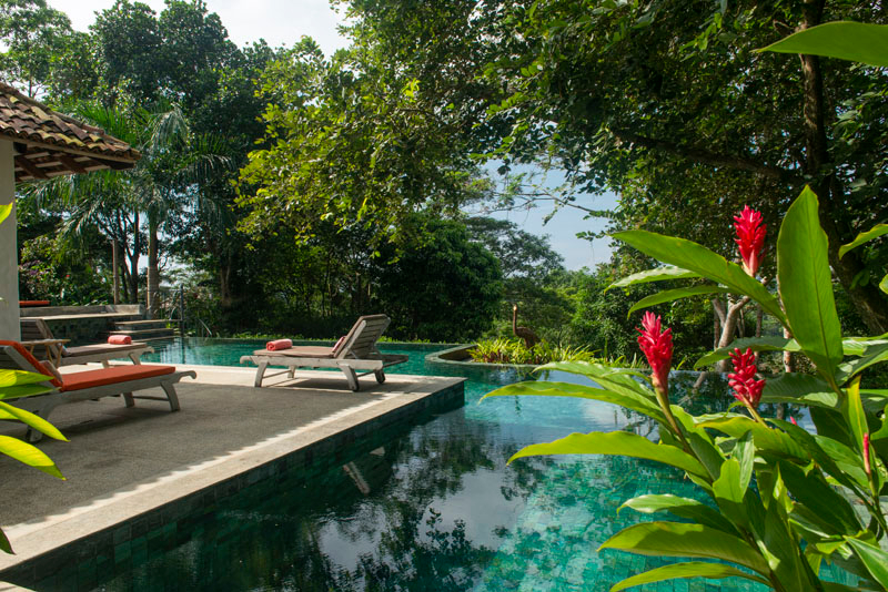 Sisindu Tea Estate Luxurious Inland Villa in Galle, Sri Lanka